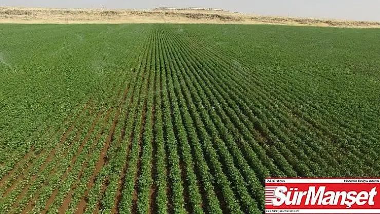 Sulama hibeleri ödenmeye başlandı