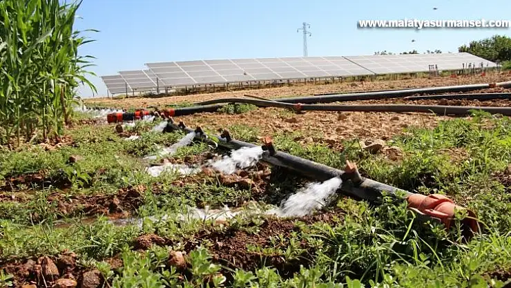 Sulama için güneş sistemi kurdu, elektrik masrafından kurtuldu