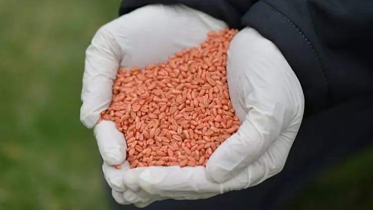 Tarım ve Orman Bakanlığı ekilebilir tüm arazileri üretime katmak için harekete geçti