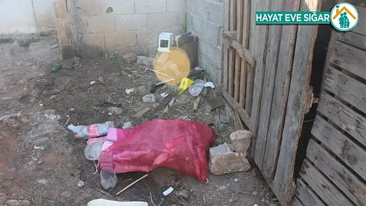 Tarsus'ta iki aile arasında tarla kavgası: 5 yaralı