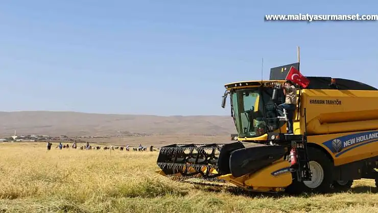 Taşlı arazilerde yetişen tescilli Karacadağ pirincinin hasadı başladı