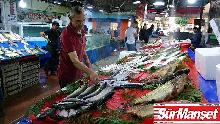 Tatlı su balıklarının rakibi, deniz balıkları Elazığ'da yerini aldı