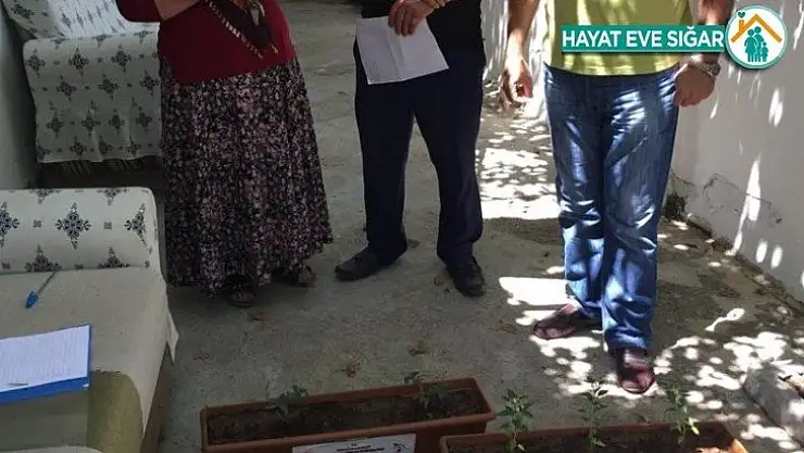 Taze sebzeni balkonda üret projesi