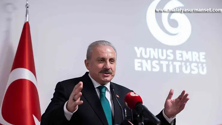 TBMM Başkanı Şentop, Viyana'da Türk sivil toplum kuruluşlarının temsilcileriyle görüştü