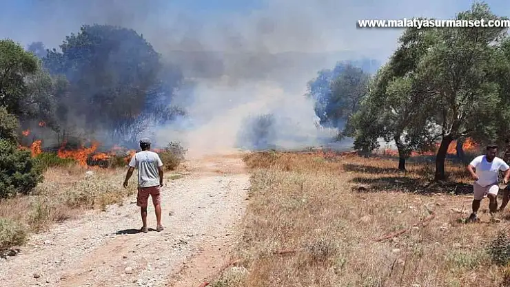 Temizlik ateşi kontrolden çıktı