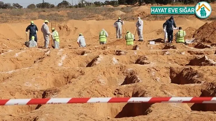 Terhune'de yeni bir toplu mezar bulundu