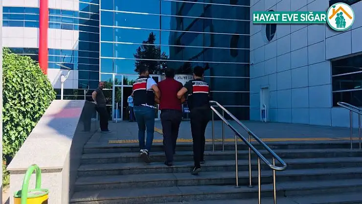 Teröre finans sağlayan şahıs tutuklandı