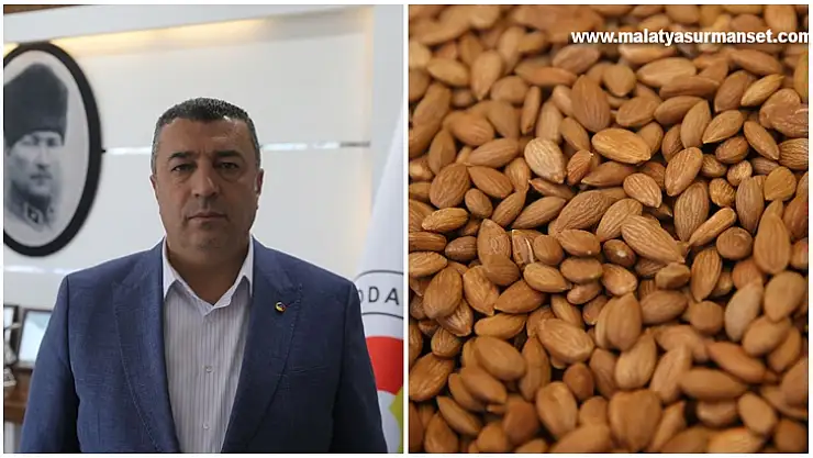 Tescilli kayısı çekirdeği ihracatından yılın ilk yarısında 8 milyon dolarlık gelir