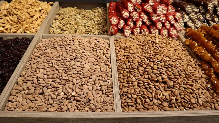 Tescilli kayısı çekirdeği ihracatından 2023'te 16 milyon dolarlık gelir