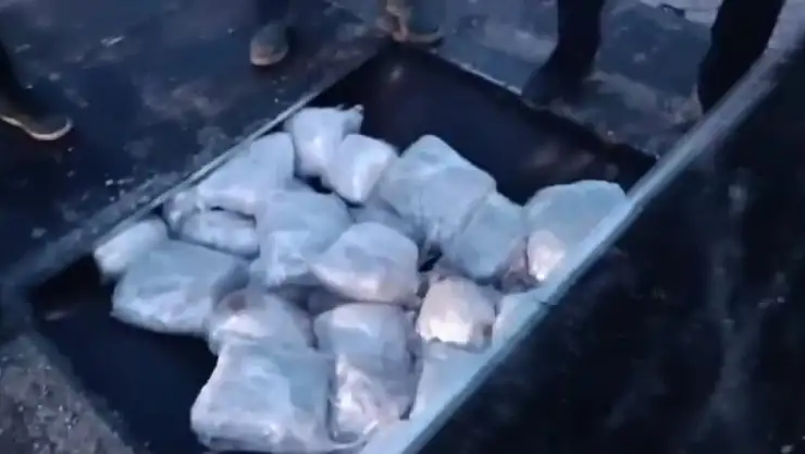 Tırın dorsesine gizlenmiş 138 kilogram skunk bulundu