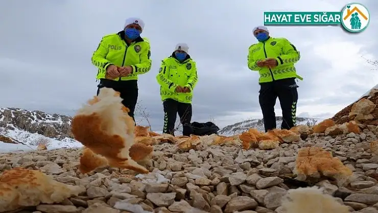 Trafik polisleri hayvanlar için doğaya yem bıraktı