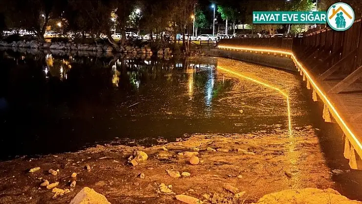 Turgut Özal Tabiat Parkı Gölü çöplere teslim oldu