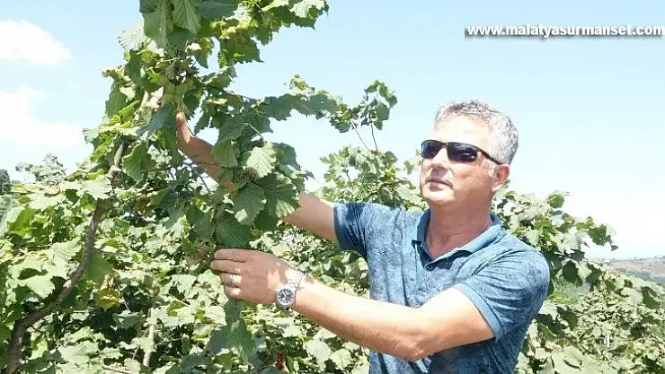 Türkiye'de 16 ilde 720 bin hektar alanda yaklaşık 500 bin çiftçi fındık üretimi yapıyor