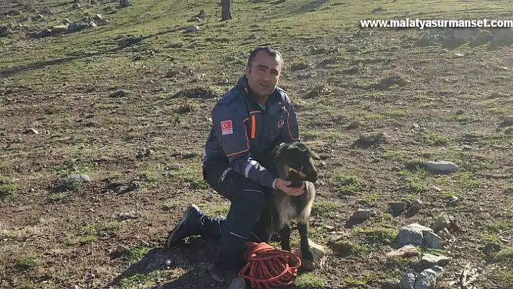 Uçurumda mahsur kalan keçiyi AFAD kurtardı