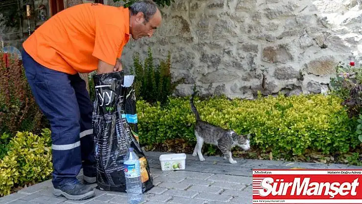 Ulucanlar'ın can dostları
