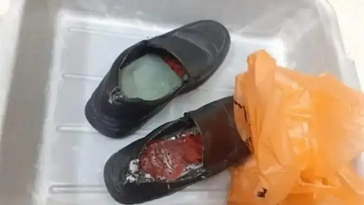 Ürdün'de ayakkabılara gizlenmiş 8 nadir kuş bulundu