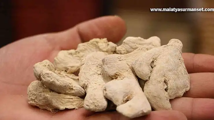 Uzmanından mide ve sindirim dostu zencefilin kullanım şekli uyarısı