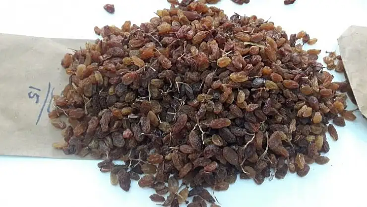 Üzümde ürün çeşitliliği rekabetçiliği arttıracak