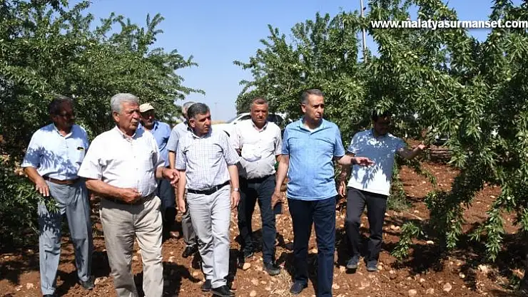 Vali Çuhadar, meyve fidanı üretim merkezini inceledi