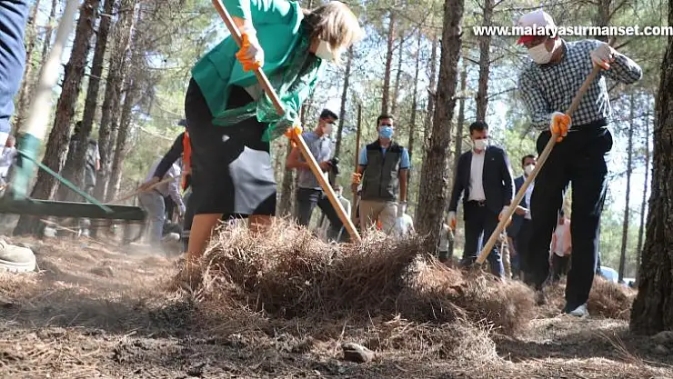 Vali ve Belediye Başkanı ormanı temizledi