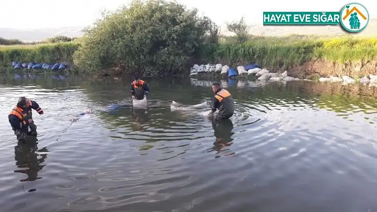 Van'da kaçak avlanmış 14 ton inci kefali ele geçirildi