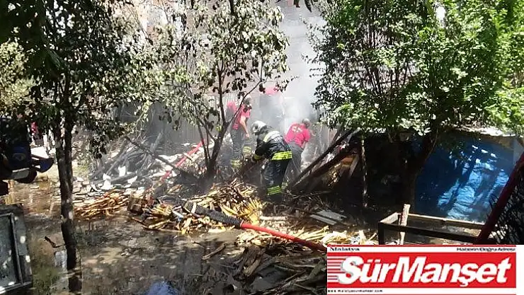 Vatandaşların çabası hayvanların telef olmasını önledi