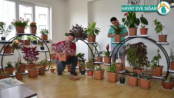 Virüs korkusu çiçeklere yöneltti