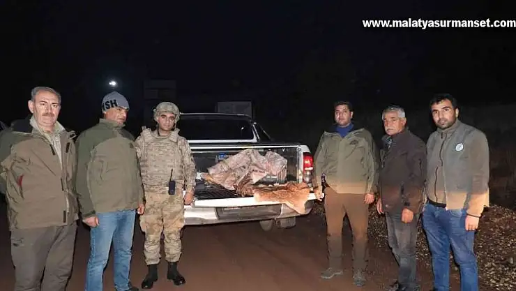 Yabani dağ keçisini vuran şahsa 63 bin TL ceza