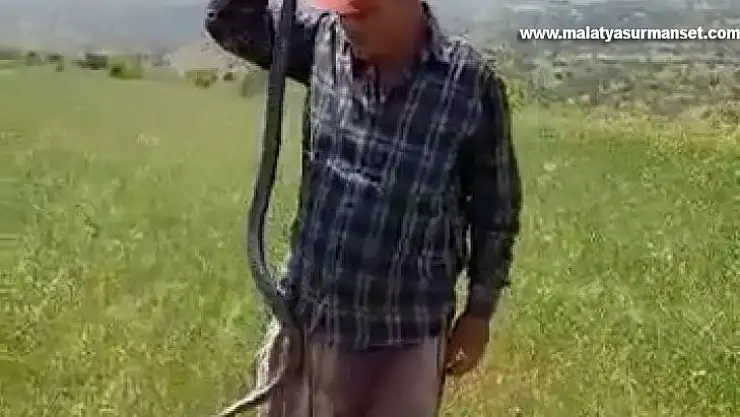 Yakaladığı yılanı canlı canlı kendi boyuyla ölçtü, ardından serbest bıraktı