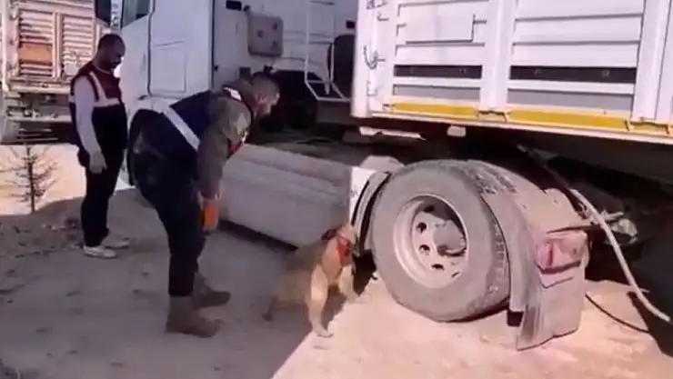 Yakıt deposunda binlerce paket sigara çıktı