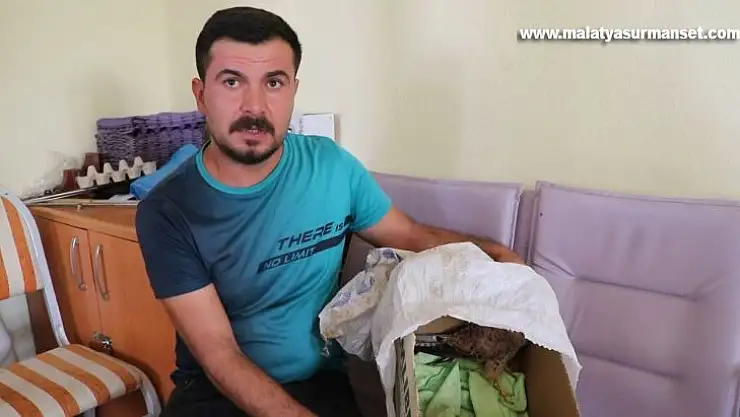 Yaralı Atmaca'ya belediye çalışanı sahip çıktı