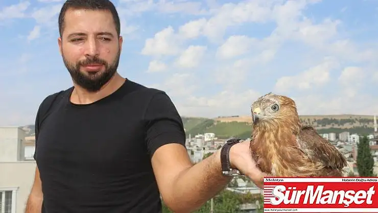 Yaralı Şahin'i tedavisi için yetkililere teslim etti