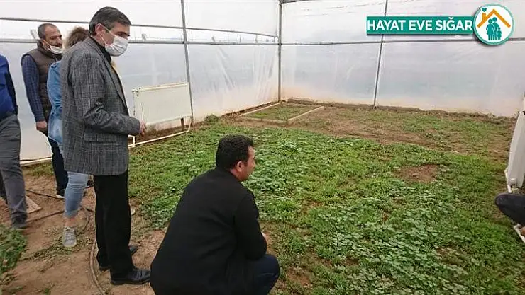 Yazıhan'da kırmızı pul biber yaygınlaştırılıyor