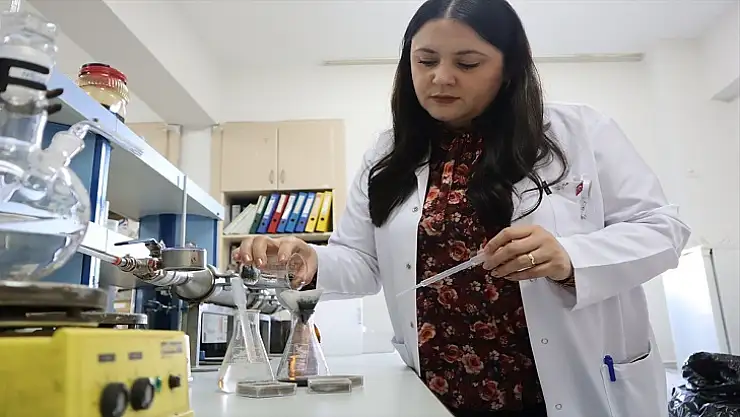 Yengeç Kabuğundan Üretilen Radyasyon Kalkanı Zararlı Işınlardan Koruyacak