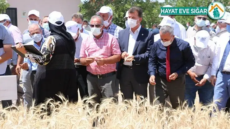 Yeni geliştirilen hububat tohumları çiftçilere tanıtıldı