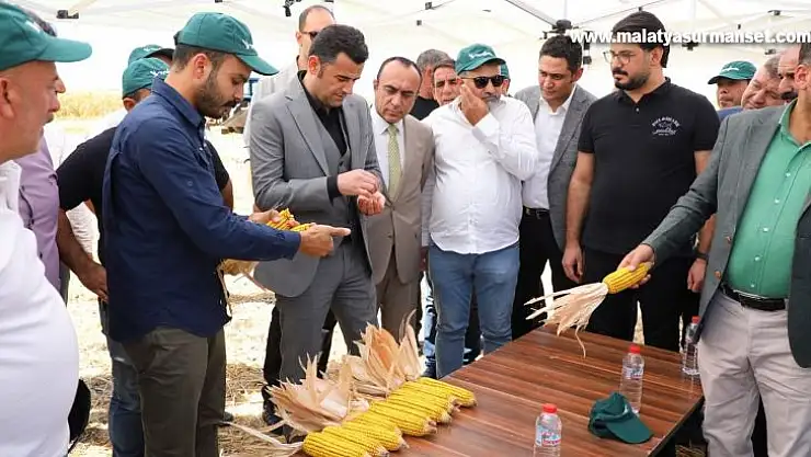 Yenişehir ilçesinde mısır hasadında rekolte 30 bin tonu geçti