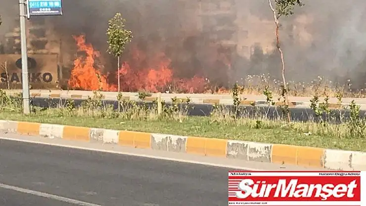 Yerleşim yerlerinin arasındaki otluk alan yandı