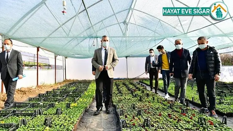 Yeşilyurt Belediye, kendi çiçeğini üretiyor