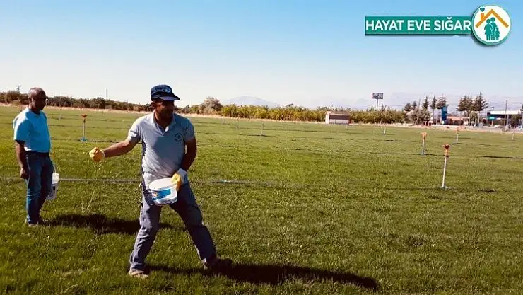 Yeşilyurt Belediyesi çimi kendi tesislerinde üretiyor