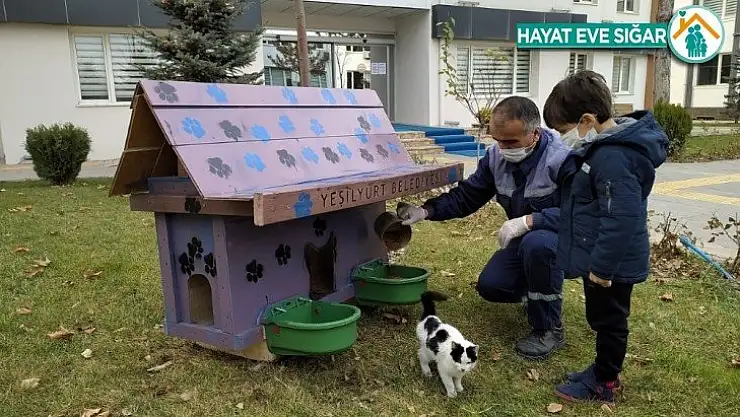 Yeşilyurt'ta sokak hayvanları için Kedi ve Köpek Evler Projesi