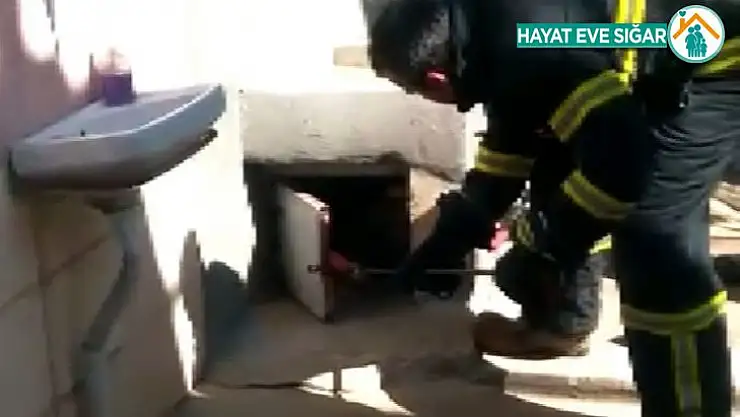 Yılan, kaçacak yer bulamayınca itfaiye erinin üzerine atladı