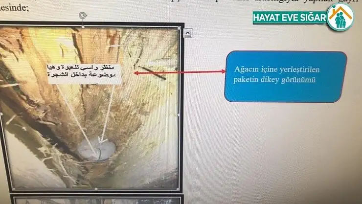 Yılbaşında eylem hazırlığındaki DEAŞ üyesi teröristler yakalandı