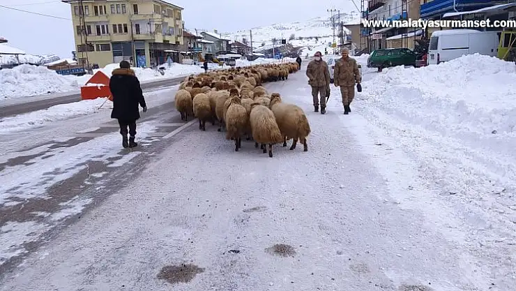 Yoğun kar yayladaki sürüleri yerinden etti