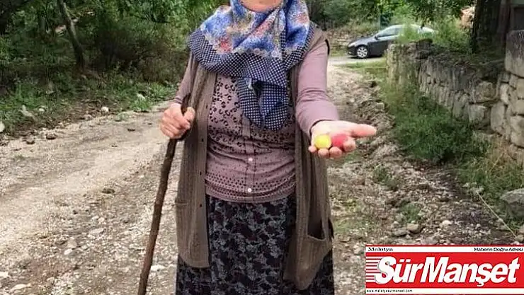 Yolcu minibüsünün çarptığı yaşlı kadının kimliği belli oldu