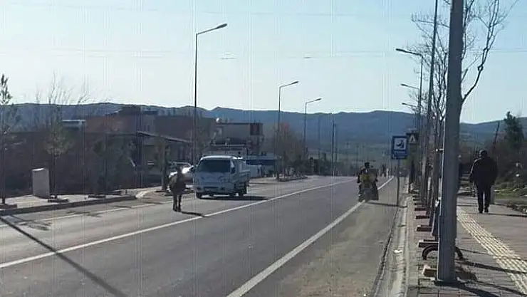 Yolda başıboş gezen eşek sürücülere zor anlar yaşattı