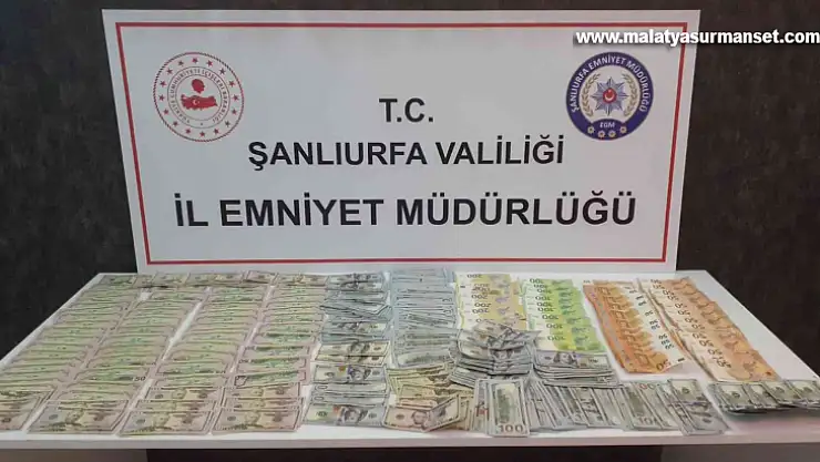 Yüklü miktarda dövizle yakalanan şahısların dolandırıcı olduğu ortaya çıktı