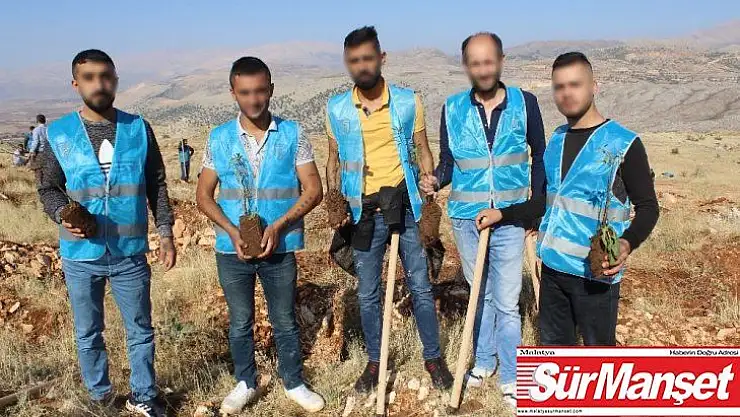 Yükümlüler badem fidanı dikti