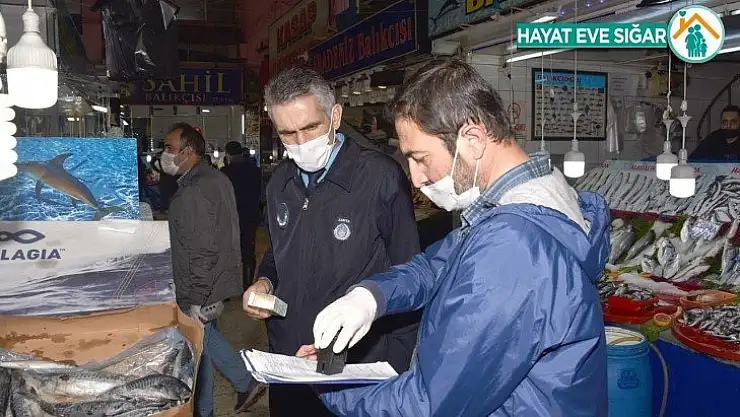 Zabıtadan balık denetimi