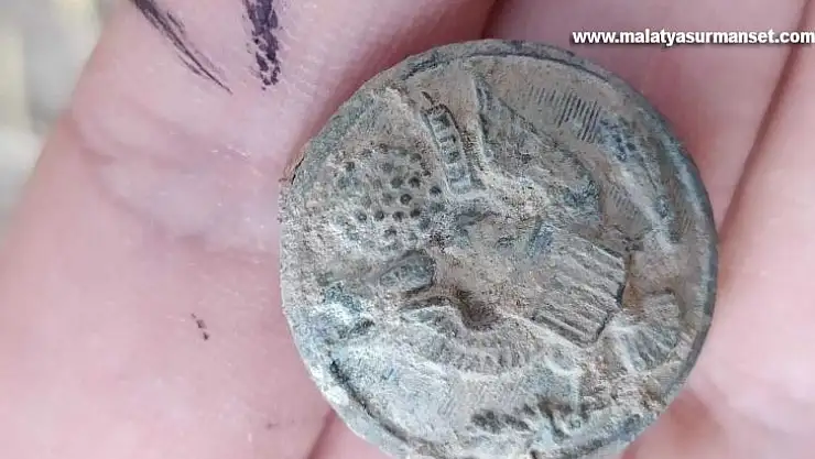 Zerzevan Kalesinde bulundu, nasıl geldiği merak konusu oldu