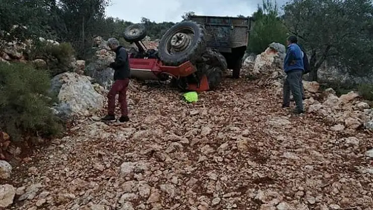 Zeytin yüklü traktör devrildi  1 yaralı
